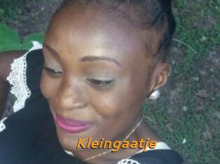 Kleingaatje