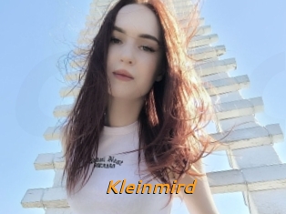 Kleinmird