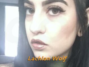 Lachlan_Wolf