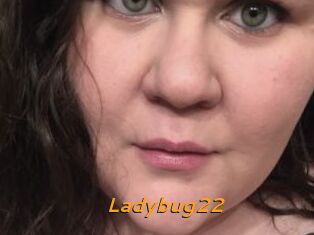 Ladybug22