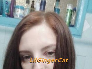 LilGingerCat