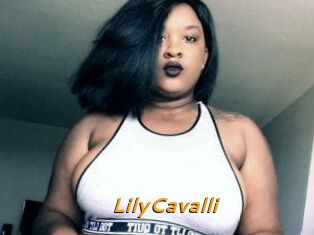 Lily_Cavalli