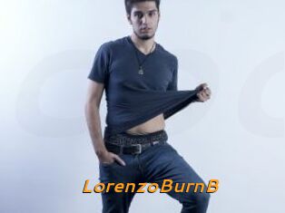 LorenzoBurnB