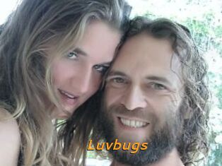 Luvbugs