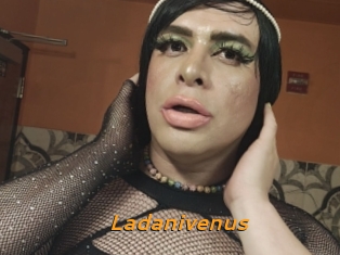 Ladanivenus