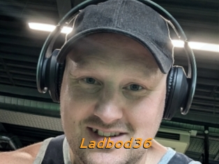 ladbod36 Cuckold Directory