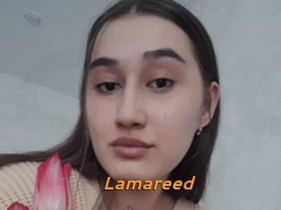 Lamareed