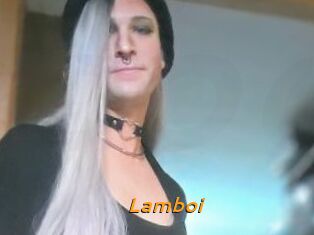 Lamboi