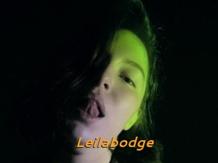 Leilabodge