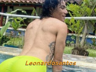 Leonardosantos