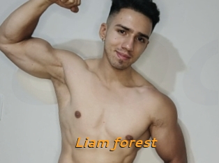 Liam_forest
