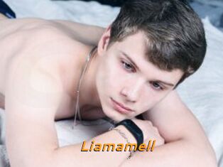 Liamamell