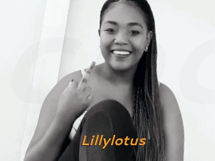 Lillylotus