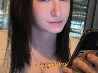 Lilygrows