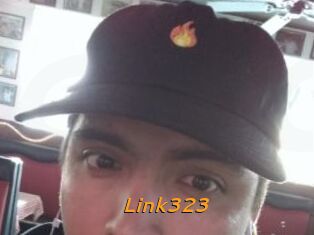 Link323