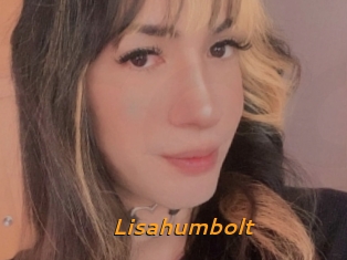 Lisahumbolt