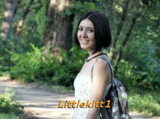 Littlekitt1