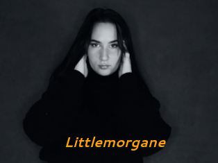 Littlemorgane