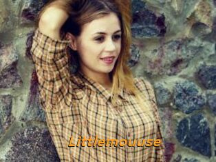 Littlemouuse
