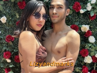 Lizyandmarks