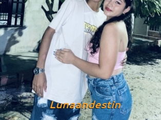 Lunaandestin
