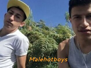 Malehotboys