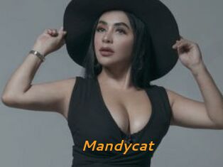 Mandycat