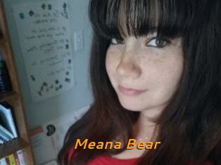 Meana_Bear