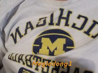 Meglodong1