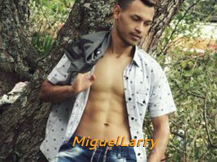 MiguelLarry