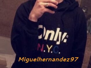 Miguel_hernandez97
