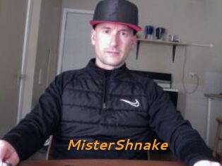 MisterShnake