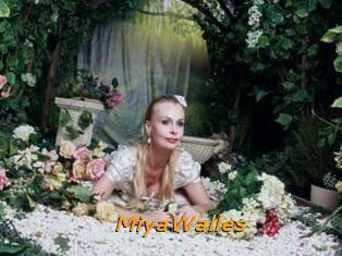 MiyaWalles