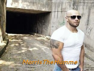 MorrisTheHumme