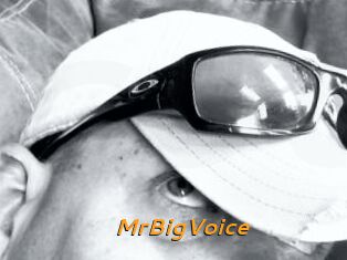 MrBigVoice