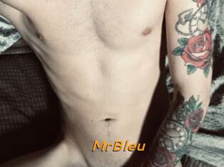 MrBleu