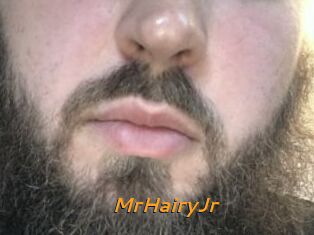 MrHairyJr