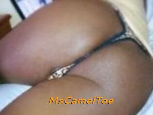 MsCamelToe
