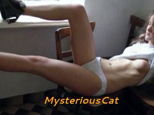 MysteriousCat