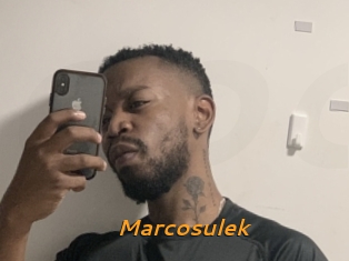 Marcosulek
