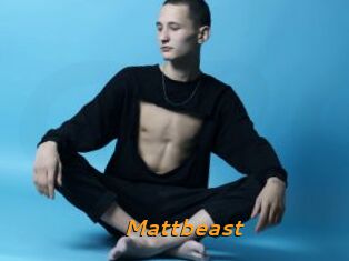 Mattbeast