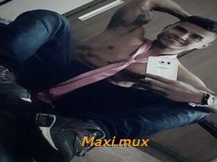 Maxi_mux