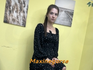 Maxinegorse