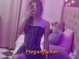 Meganfulker