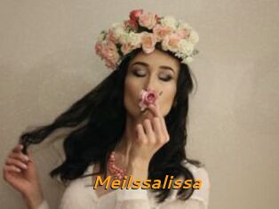 Meilssalissa