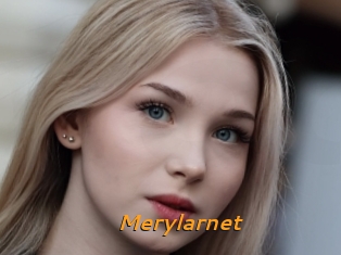 Merylarnet