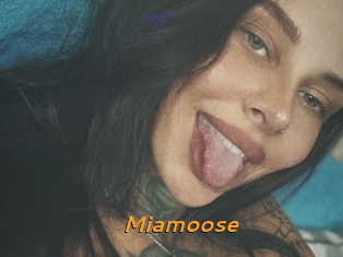 Miamoose