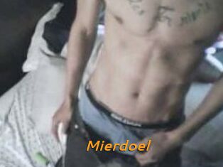 Mierdoel