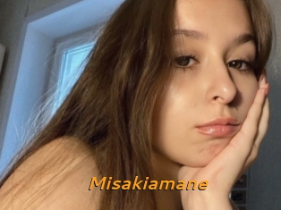 Misakiamane
