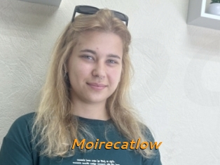 Moirecatlow